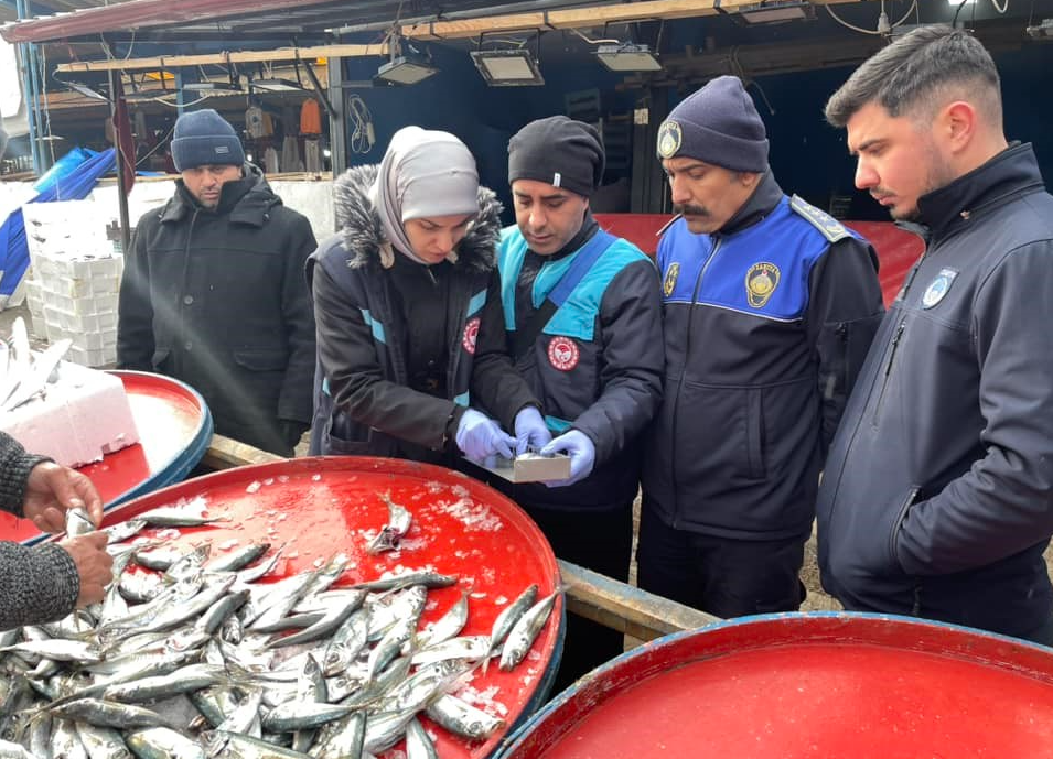 Osmaneli balık pazarında denetim
