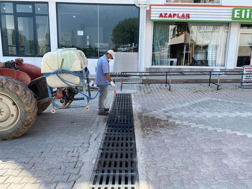 Osmaneli Belediyesinden larvalara kaşı ilaçlama 