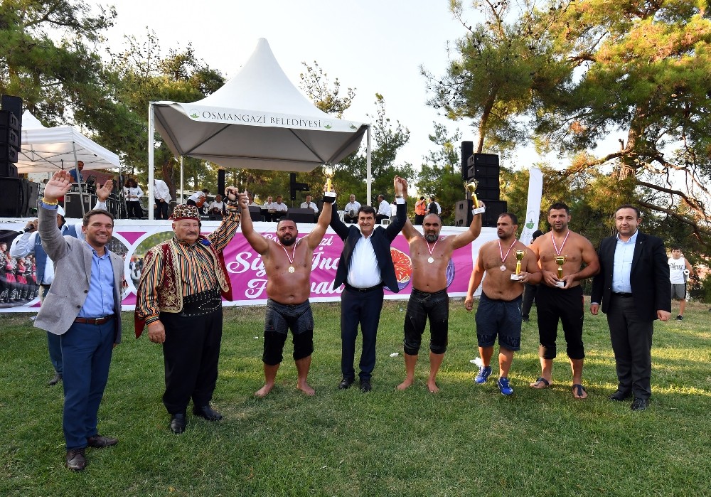 Osmangazi’de siyah incirler yarıştı 