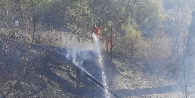 Osmaniye haberleri: Osmaniye'de orman yangını: 50 dekar alan zarar gördü! Osmaniye yangın son durum nedir?