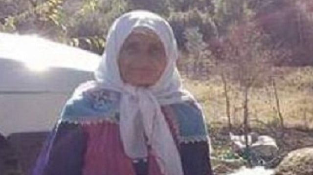 Osmaniye'de ağaçtan düşen kadın hayatını kaybetti