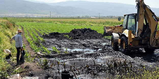 Osmaniye'de akıl almaz hırsızlık! Tonlarca petrol tarlalara aktı