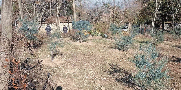 Osmaniye'de budamak için çıktığı ağaçta kalp krizi geçiren kişi öldü