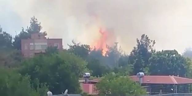 Osmaniye'de korkutan orman yangını: Evler tahliye edildi!