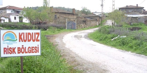 104 kişi kuduz oldu! Bölge karantinaya alındı