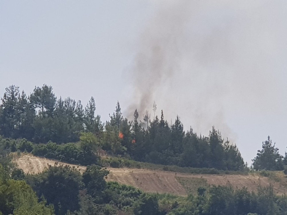Osmaniye’de orman yangın 