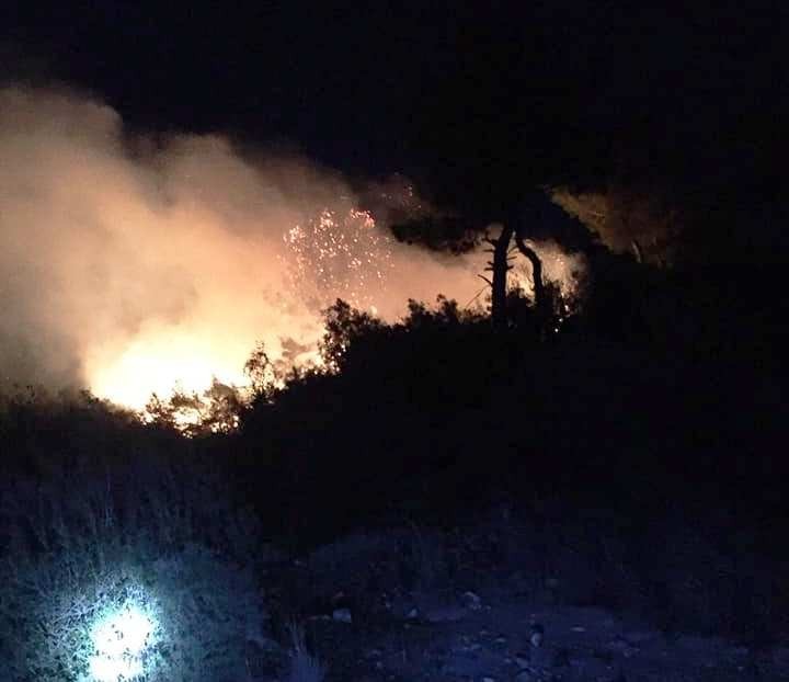 Osmaniye’de orman yangını 