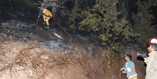 Osmaniye'de orman yangını