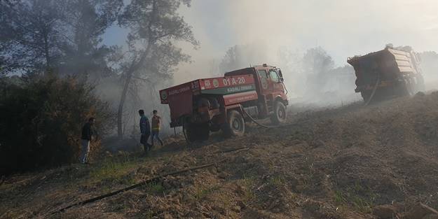 Osmaniye'de orman yangını