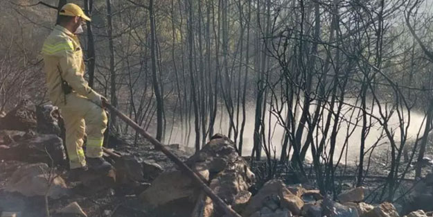 Osmaniye’de orman yangını kontrol altında