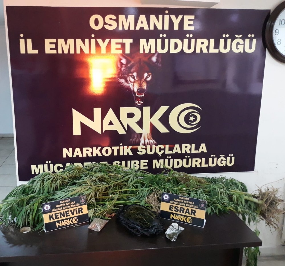 Osmaniye’de uyuşturucu operasyonu 