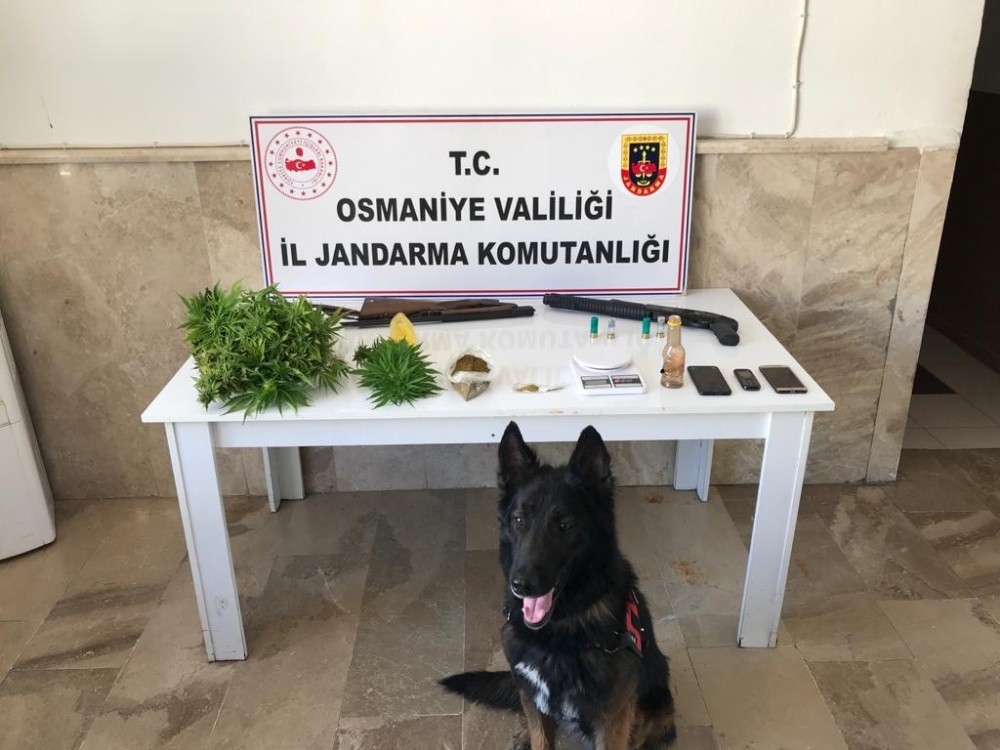 Osmaniye’de uyuşturucu operasyonu: 3 gözaltı 