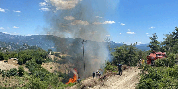 Osmaniye’deki yangın söndürüldü