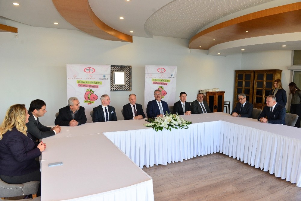 Osmanlı Çileği’ne Ereğli sahip çıktı 