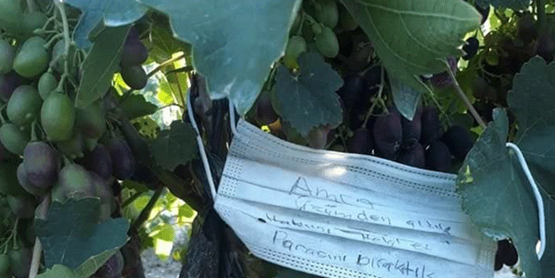 Osmanlı kültürü Mersin'de devam etti! Yediklerini üzümün parasını bıraktılar