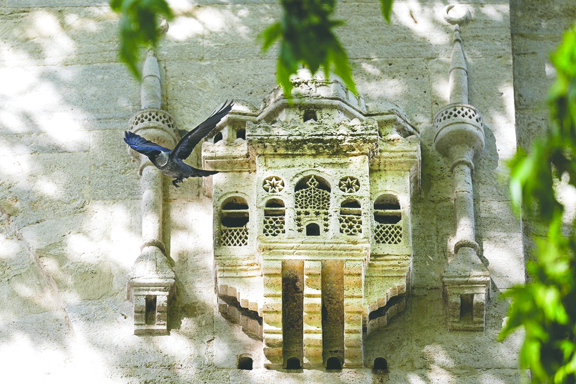 Osmanlı kuş sarayları merhametin simgesi