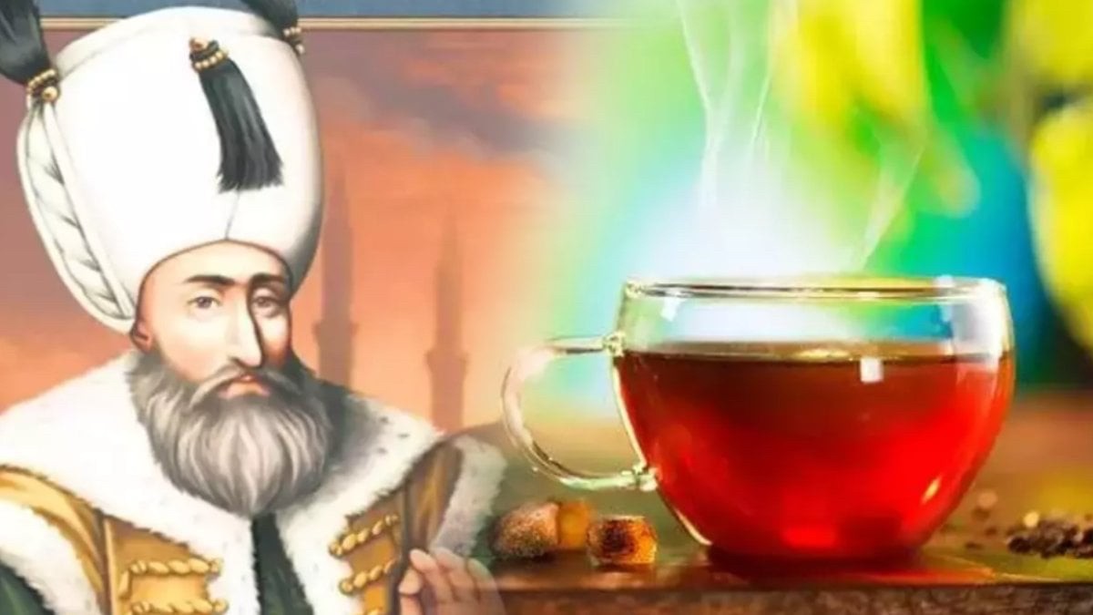 Osmanlı padişahlarının alayı sürekli bunu içiyordu! Vücudu dipçik gibi, bomba gibi yapıyor! Gerçekten mucizevi bir şey