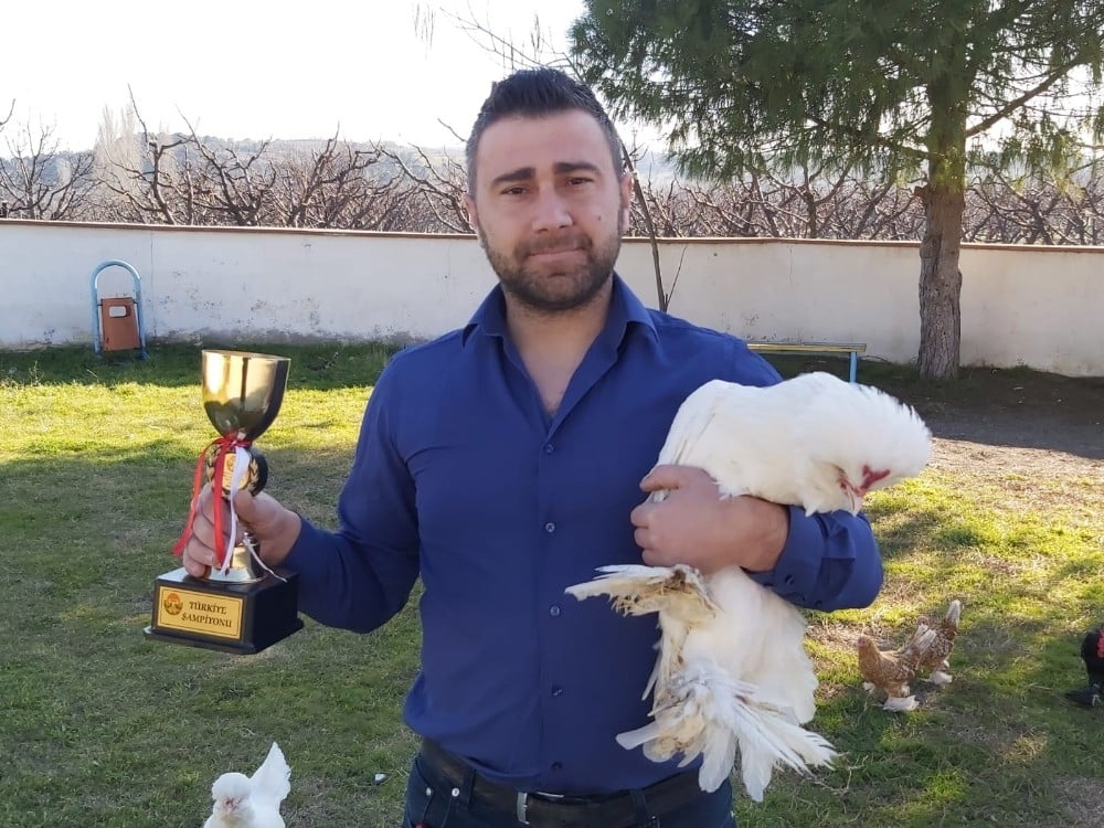 Osmanlı süs tavuğu ve horozu yarışmasında Çanakkale’ye Türkiye birinciliği geldi 