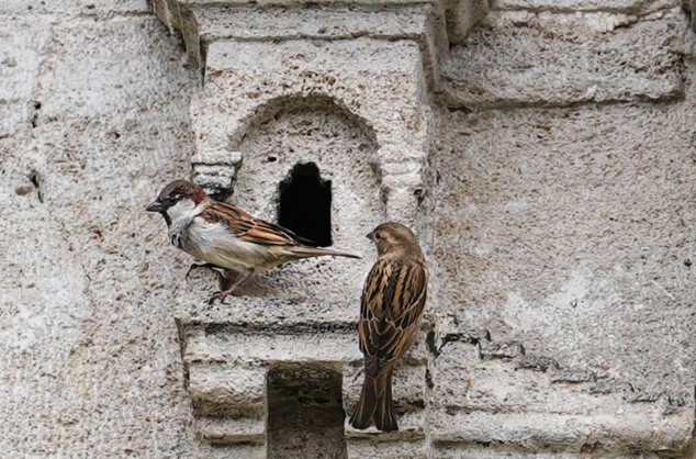 Osmanlı’dan kalan miras! Tam 5 asırdır güzelliğiyle ayakta duruyor
