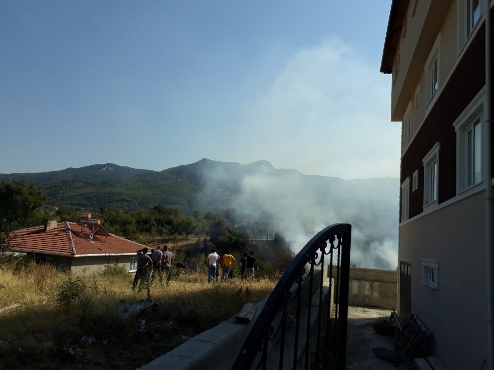 Ot yangını korkuttu 