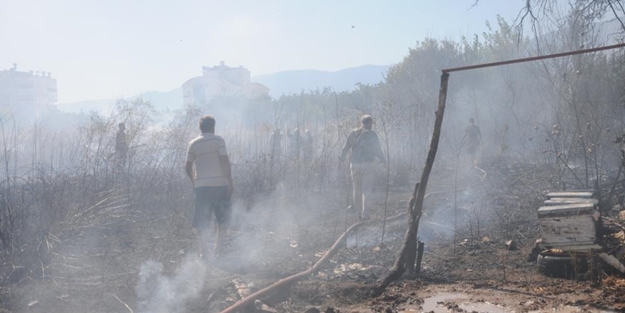 Otluk alanda çıkan yangın portakal ağaçları ve arı kovanlarını yaktı