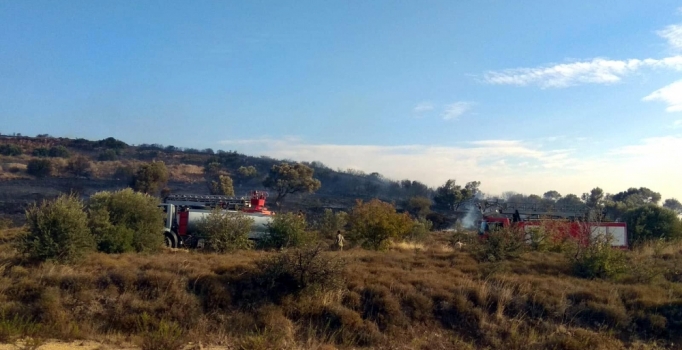 Otluk alandaki yangın sert rüzgarla büyüdü