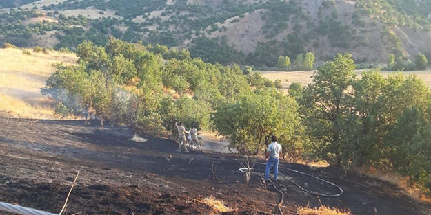 Otluk alandaki yangın söndürüldü