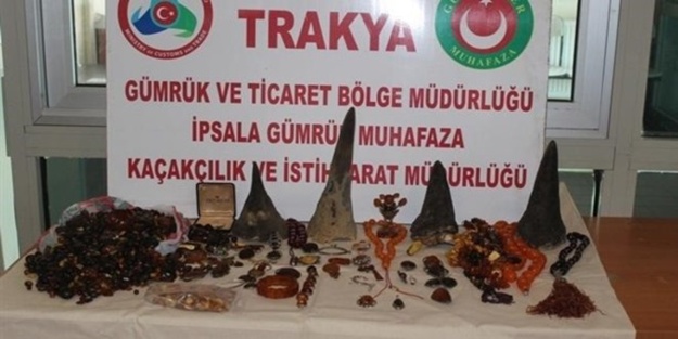 Otobüsten gergedan boynuzu çıktı