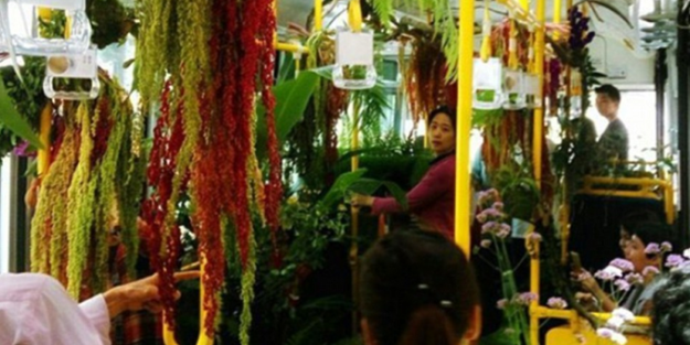 Otobüsü ormana çevirdiler!