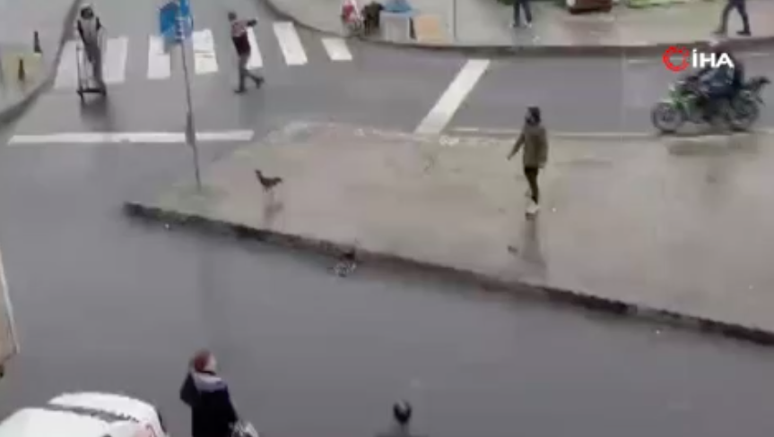 Otogarda sahibinin elinden kaçan horoz ortalığı birbirine kattı!