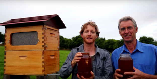 Otomatik kovanlar - FOTO