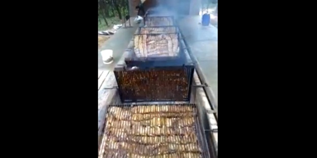 Otomatik mangal görmüş müydünüz?