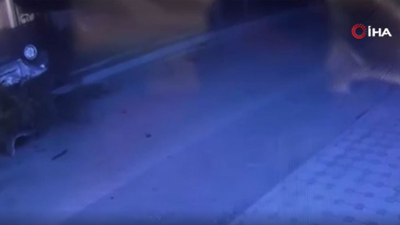 Otomobil ağaca çarptı! Korkunç kaza kamerada