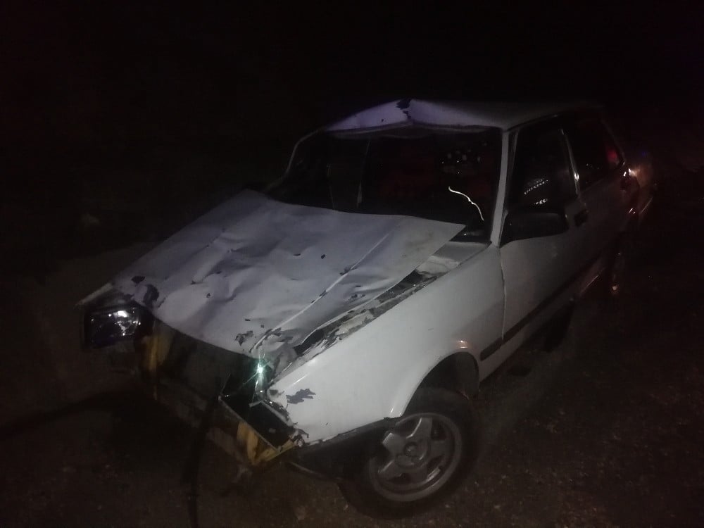 Otomobil ata çarptı: 2 yaralı 