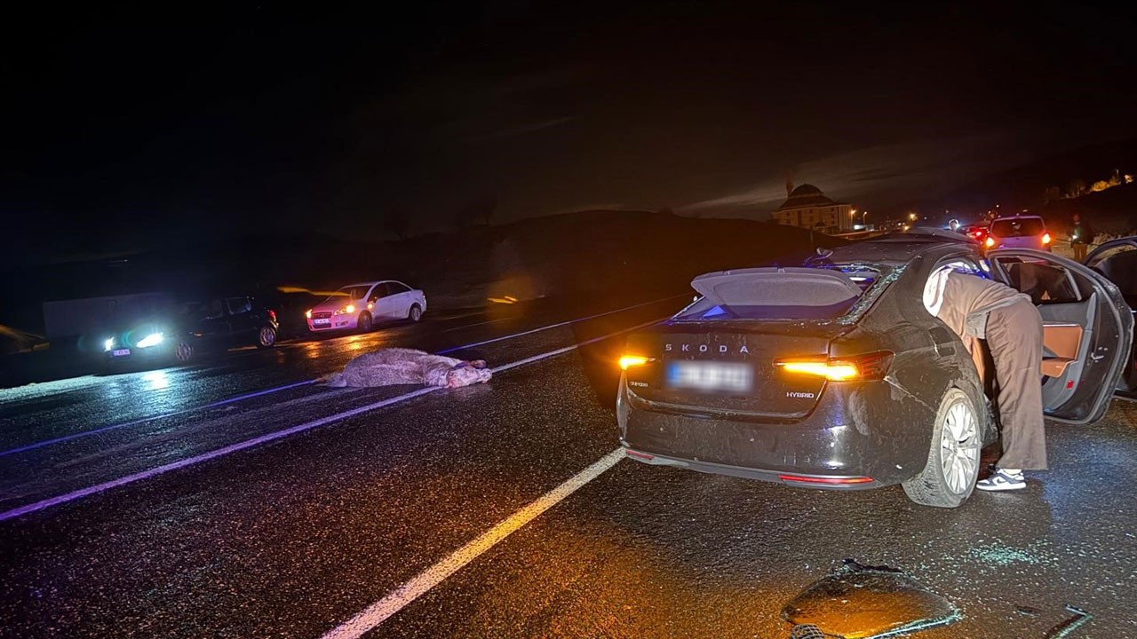 Otomobil ata çarptı: 4 yaralı