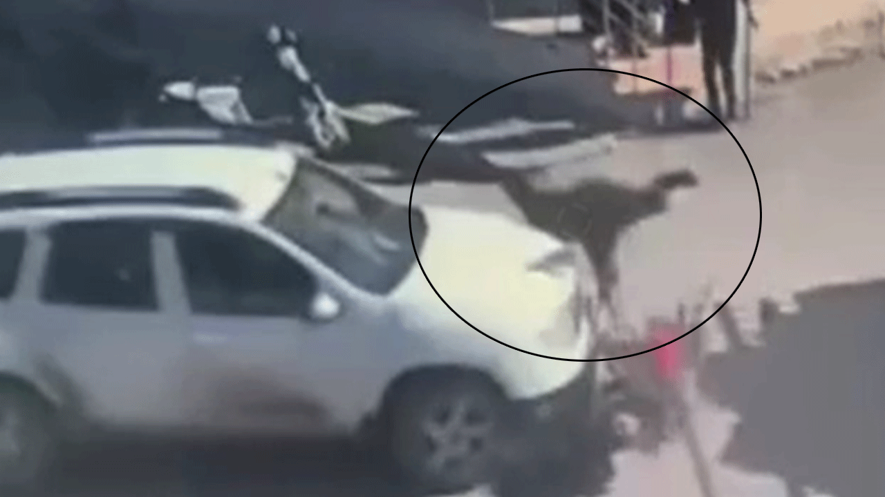 Otomobil ile çarpışan motosiklet sürücüsü havaya uçtu! O anlar kamerada!