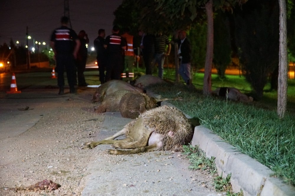 Otomobil koyun sürüsüne daldı: 2 yaralı 