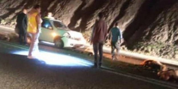 Otomobil, koyun sürüsüne daldı!