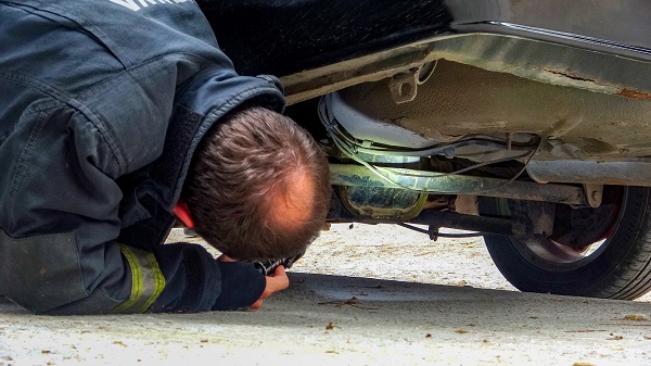 Otomobilde yılan alarmı verildi