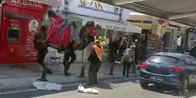 Otomobilden ürken deve ortalığı birbirine kattı