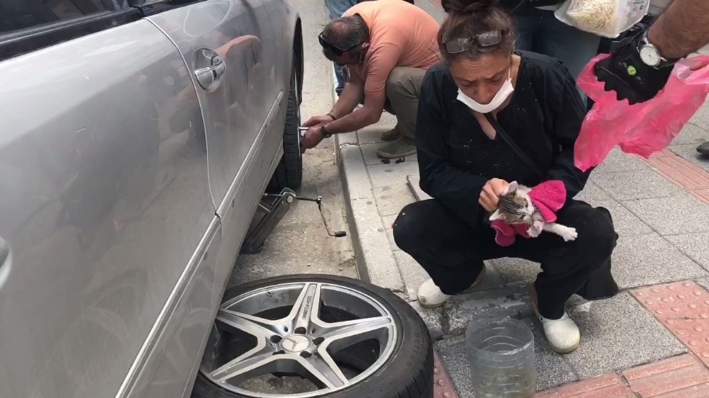 Otomobile sıkışan kedi aracın lastiği sökülerek çıkartıldı 