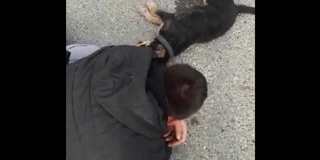 Otomobilin altında kalan köpeğinin başında ağladı