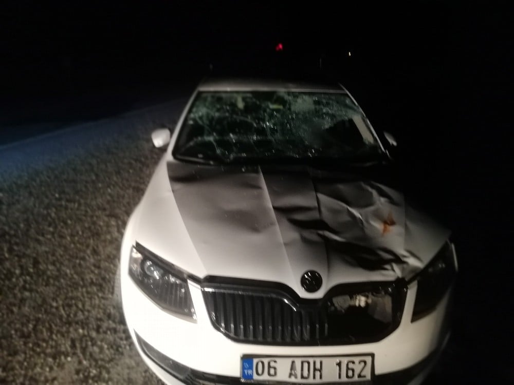 Otomobilin çarptığı çoban yaralandı 
