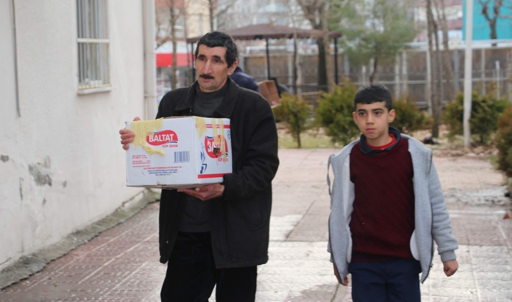 Otomobilin çarptığı kediye baba ve oğlu sahip çıktı 