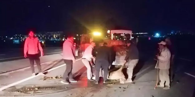 Otomobilin çarptığı koyun sürüsünde 18 koyun telef oldu