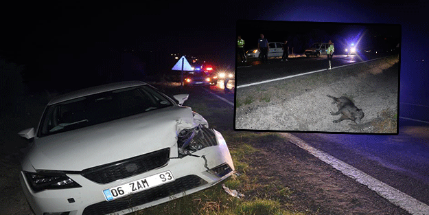 Otomobilin domuza çarptığı kazada 4 yaralı!