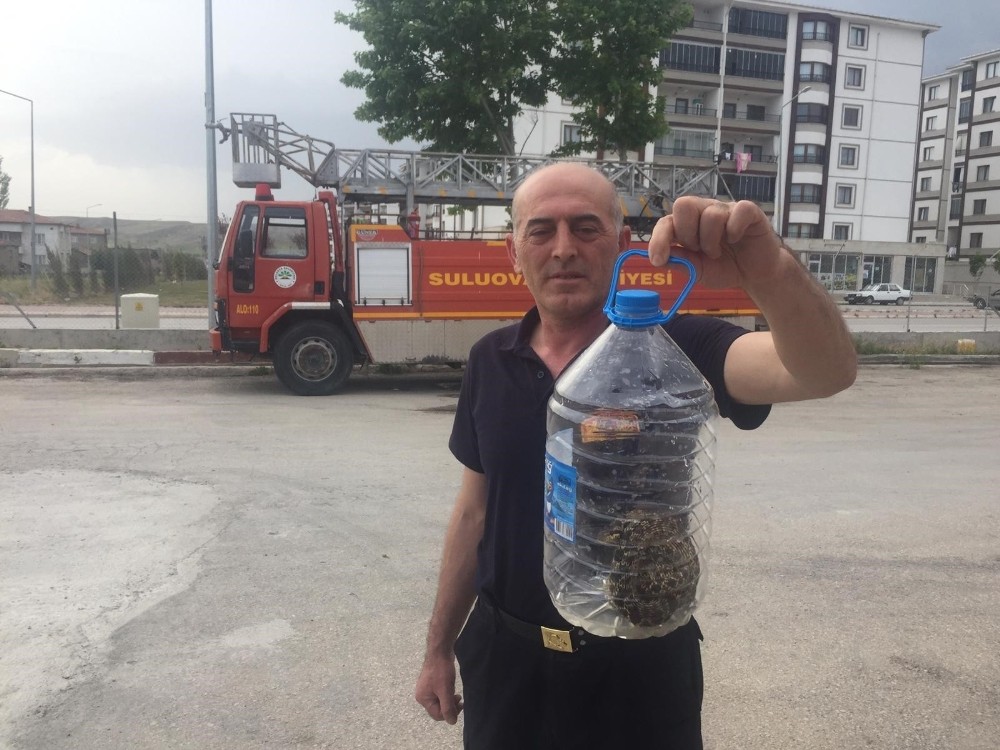 Otomobilin motor kısmına giren yılan korkuttu 