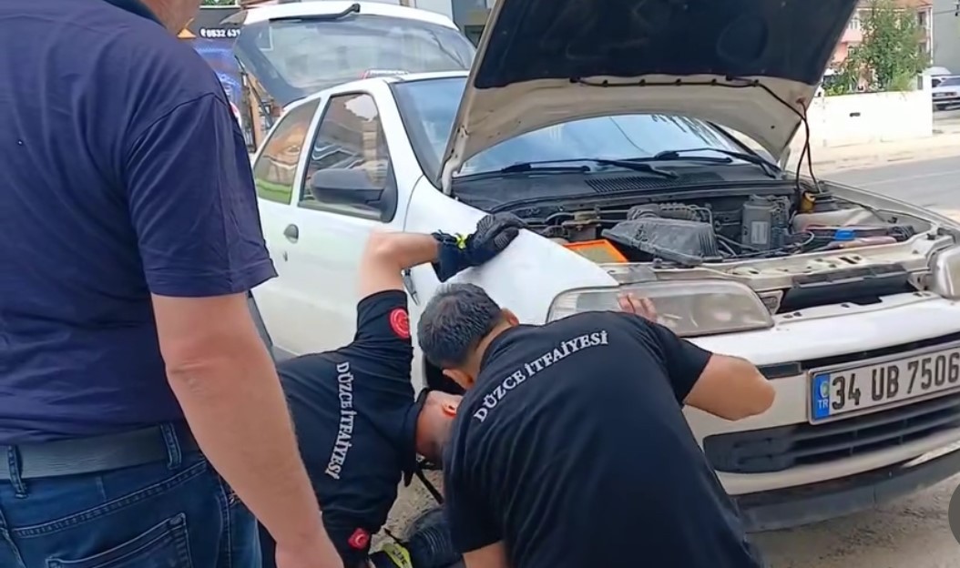 Otomobilin motoruna giren yılan teker sökülerek çıkarıldı