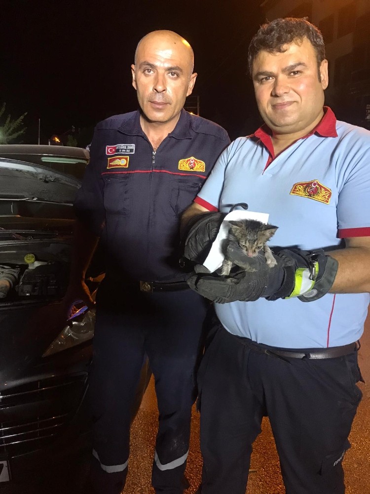 Otomobilin motoruna sıkışan yavru kediyi itfaiye ekipleri kurtardı 