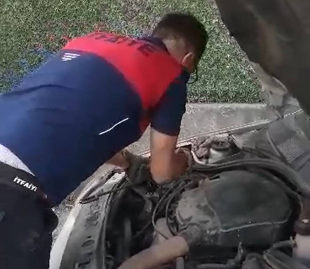 Otomobilin motorundan çıktı, görenler küçük dilini yuttu